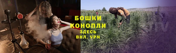 сатива Нефтегорск