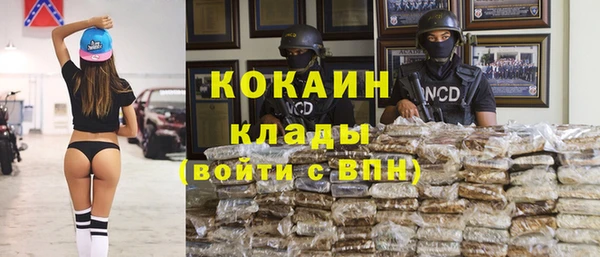 сатива Нефтегорск
