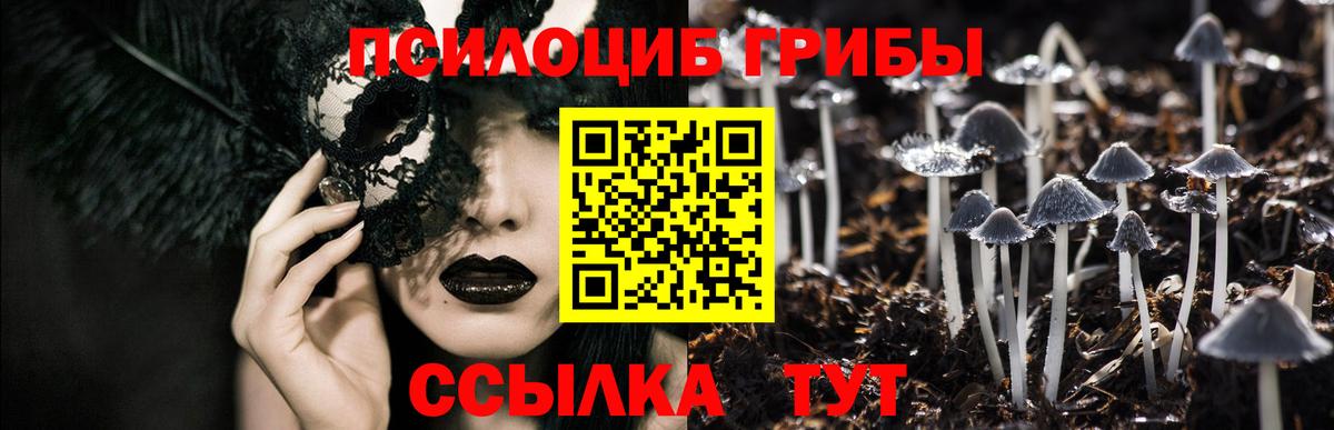 Галлюциногенные грибы ЛСД Шали